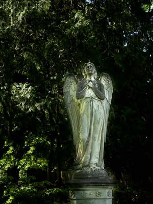 EAlter-Friedhof-Bonn-Engel-195a40x30